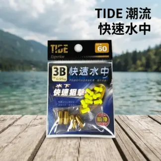 TIDE 潮流 快速水中